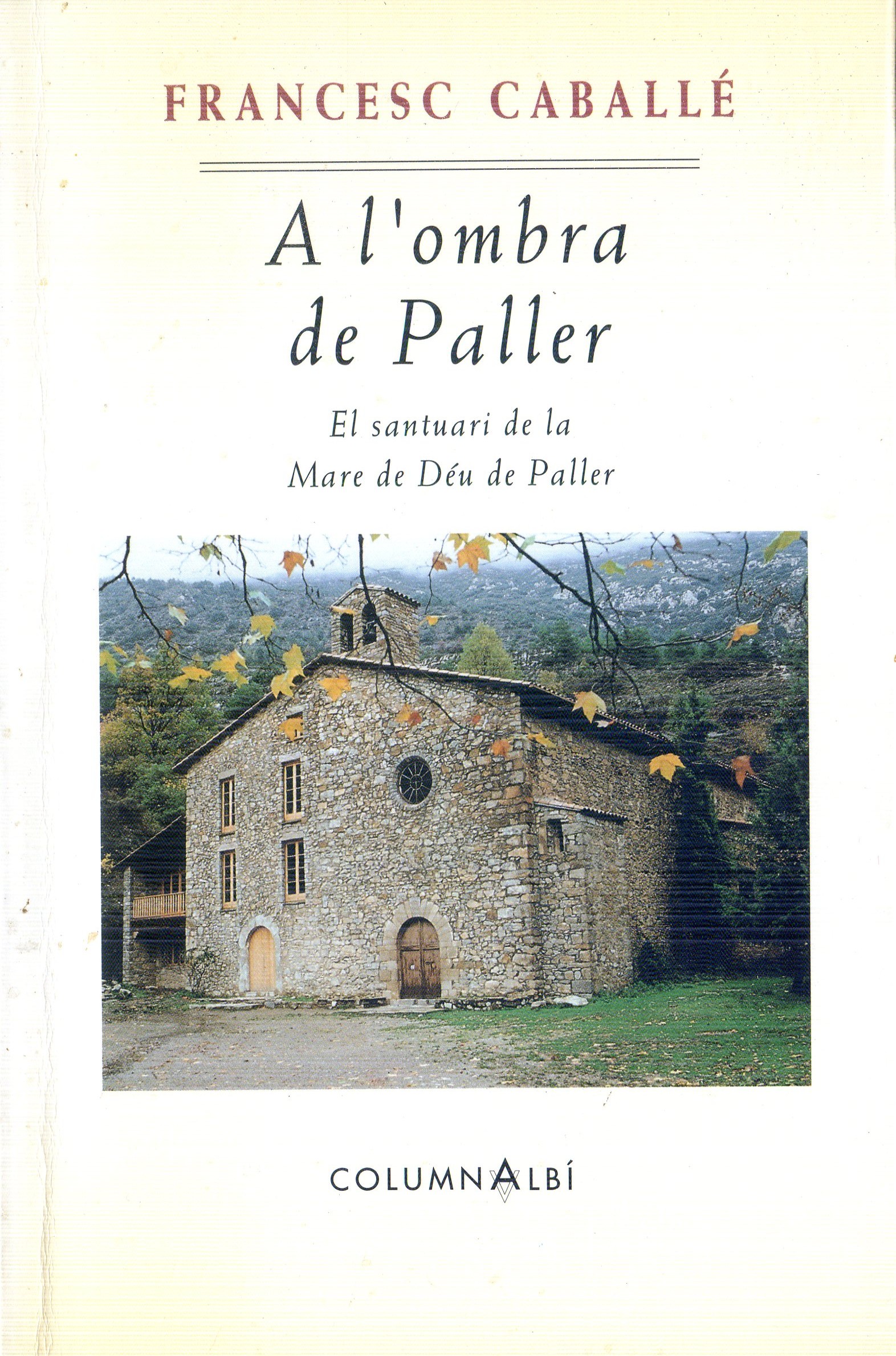 A l'ombra del Paller - Portada